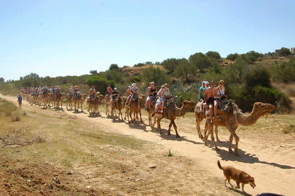 Quad biking adventure