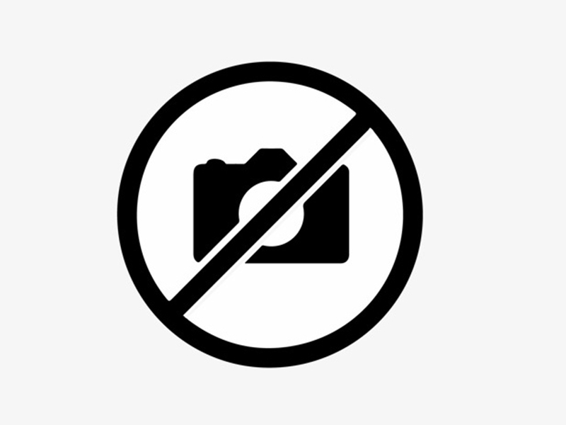 Camel Caravan Experience